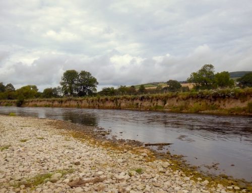 River Suir Bank Protection Works
